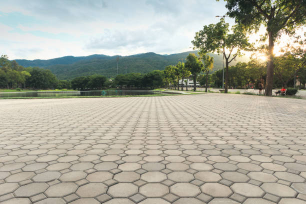 Best Affordable Driveway Pavers  in Long Beach, WA